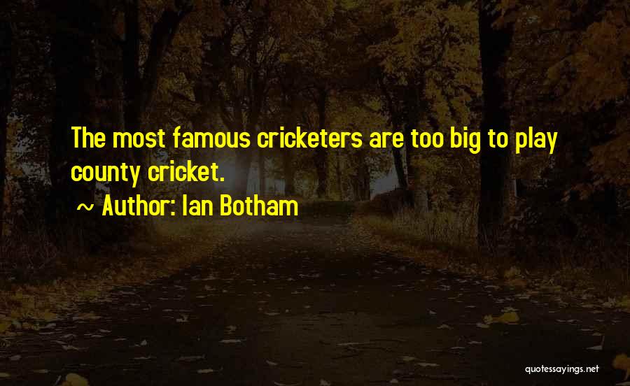 Ian Botham Quotes: The Most Famous Cricketers Are Too Big To Play County Cricket.