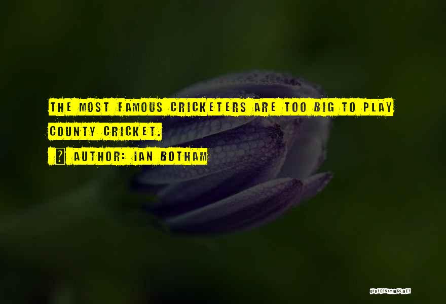 Ian Botham Quotes: The Most Famous Cricketers Are Too Big To Play County Cricket.