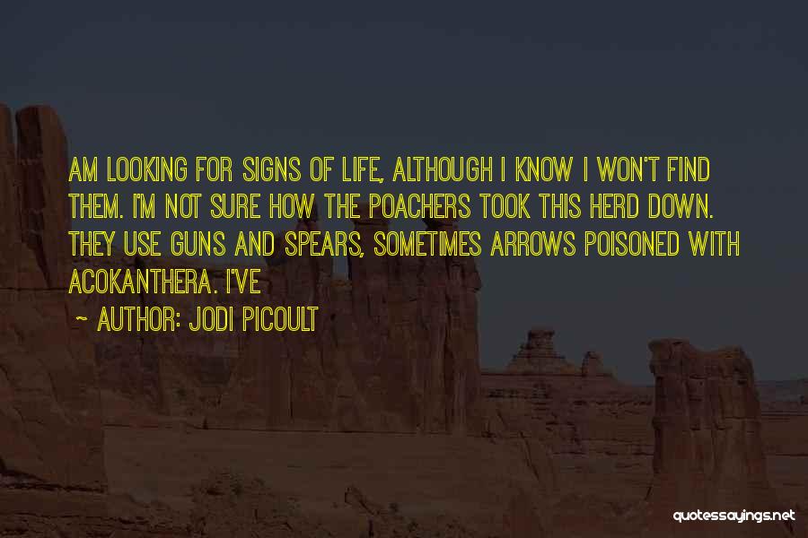 Jodi Picoult Quotes: Am Looking For Signs Of Life, Although I Know I Won't Find Them. I'm Not Sure How The Poachers Took