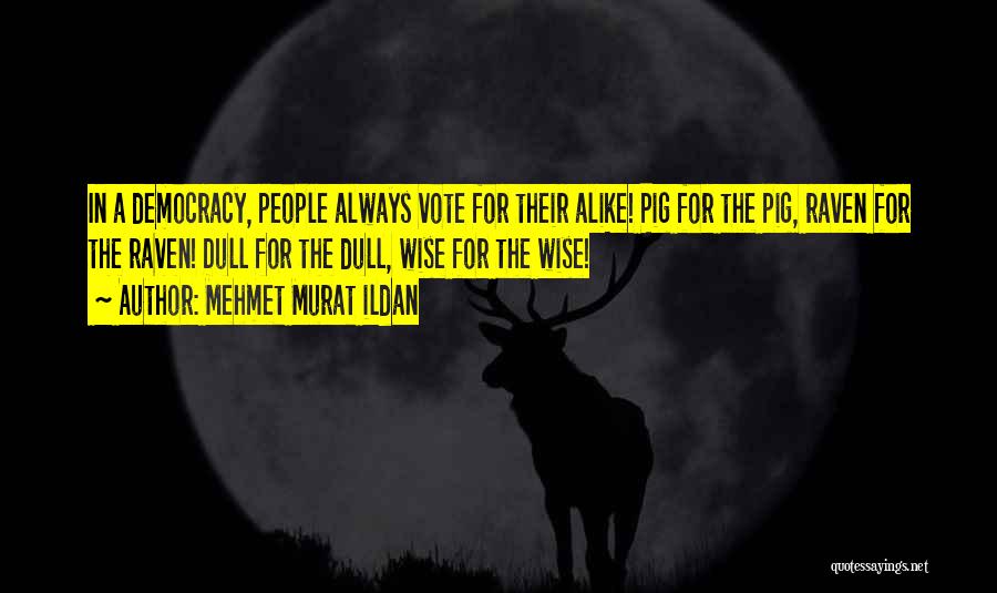 Mehmet Murat Ildan Quotes: In A Democracy, People Always Vote For Their Alike! Pig For The Pig, Raven For The Raven! Dull For The