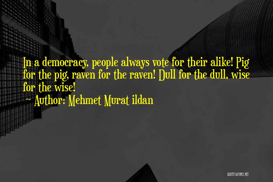 Mehmet Murat Ildan Quotes: In A Democracy, People Always Vote For Their Alike! Pig For The Pig, Raven For The Raven! Dull For The
