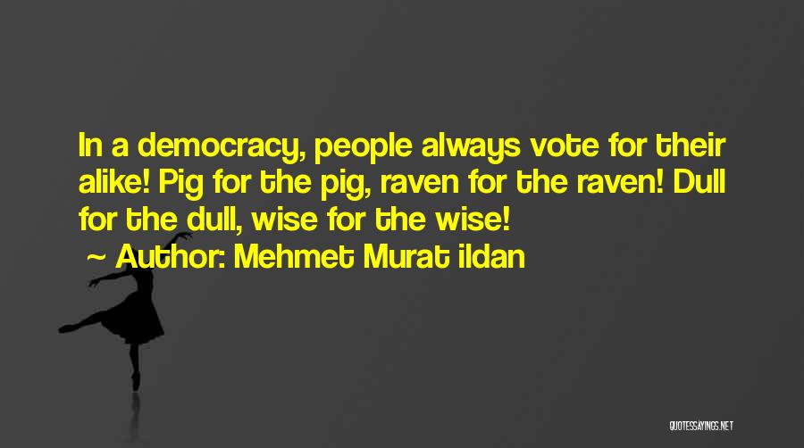 Mehmet Murat Ildan Quotes: In A Democracy, People Always Vote For Their Alike! Pig For The Pig, Raven For The Raven! Dull For The