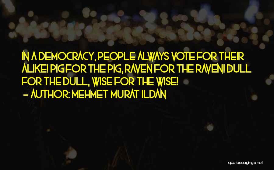 Mehmet Murat Ildan Quotes: In A Democracy, People Always Vote For Their Alike! Pig For The Pig, Raven For The Raven! Dull For The