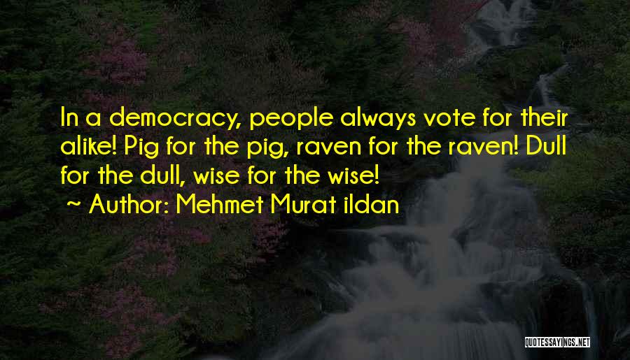 Mehmet Murat Ildan Quotes: In A Democracy, People Always Vote For Their Alike! Pig For The Pig, Raven For The Raven! Dull For The