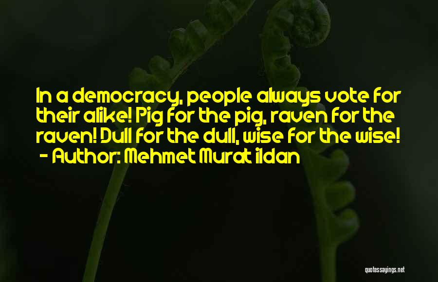 Mehmet Murat Ildan Quotes: In A Democracy, People Always Vote For Their Alike! Pig For The Pig, Raven For The Raven! Dull For The