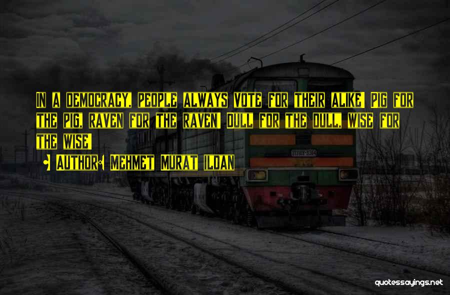 Mehmet Murat Ildan Quotes: In A Democracy, People Always Vote For Their Alike! Pig For The Pig, Raven For The Raven! Dull For The