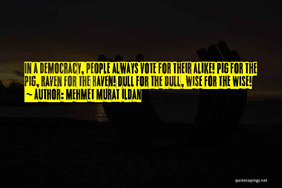 Mehmet Murat Ildan Quotes: In A Democracy, People Always Vote For Their Alike! Pig For The Pig, Raven For The Raven! Dull For The
