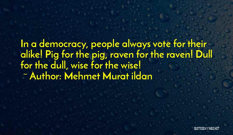 Mehmet Murat Ildan Quotes: In A Democracy, People Always Vote For Their Alike! Pig For The Pig, Raven For The Raven! Dull For The