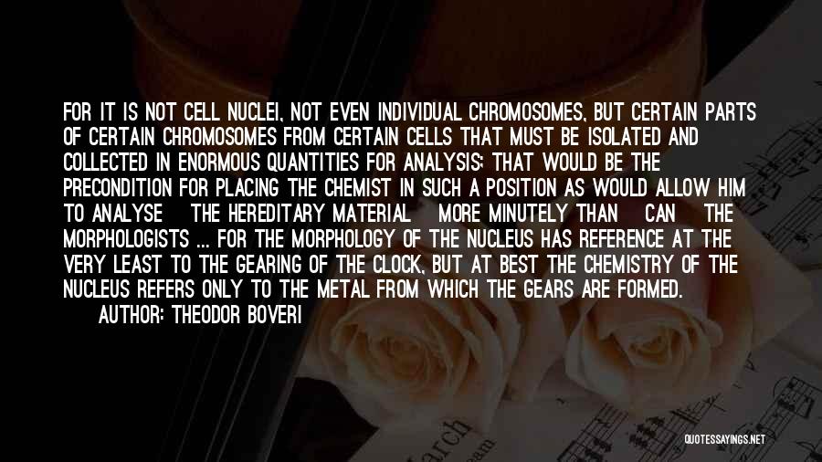 Theodor Boveri Quotes: For It Is Not Cell Nuclei, Not Even Individual Chromosomes, But Certain Parts Of Certain Chromosomes From Certain Cells That