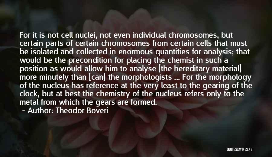 Theodor Boveri Quotes: For It Is Not Cell Nuclei, Not Even Individual Chromosomes, But Certain Parts Of Certain Chromosomes From Certain Cells That