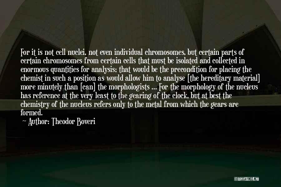 Theodor Boveri Quotes: For It Is Not Cell Nuclei, Not Even Individual Chromosomes, But Certain Parts Of Certain Chromosomes From Certain Cells That