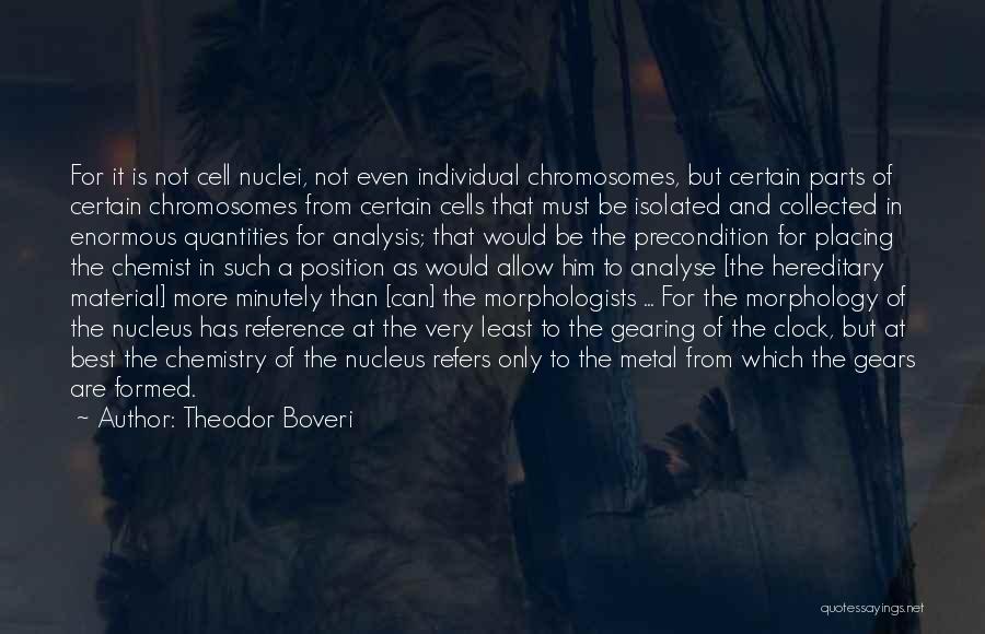 Theodor Boveri Quotes: For It Is Not Cell Nuclei, Not Even Individual Chromosomes, But Certain Parts Of Certain Chromosomes From Certain Cells That