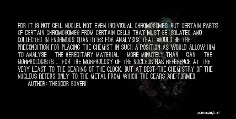 Theodor Boveri Quotes: For It Is Not Cell Nuclei, Not Even Individual Chromosomes, But Certain Parts Of Certain Chromosomes From Certain Cells That