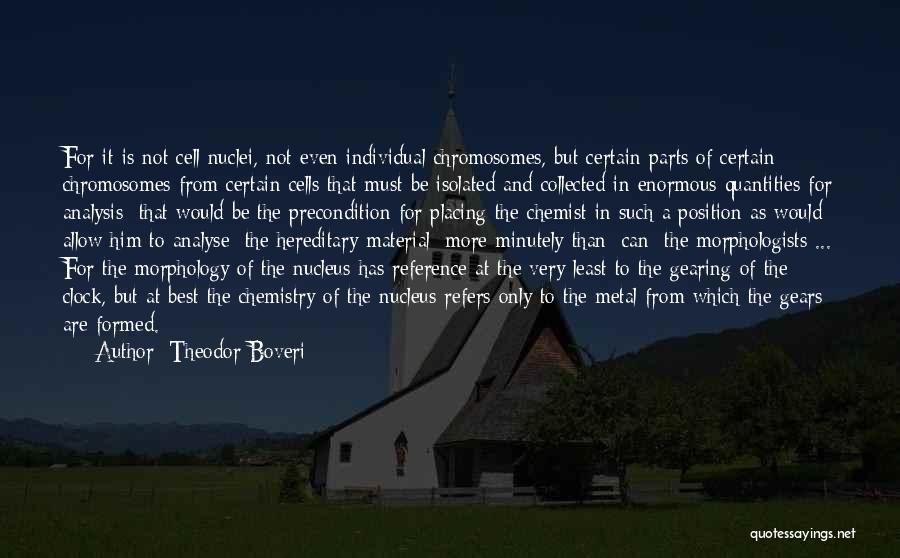 Theodor Boveri Quotes: For It Is Not Cell Nuclei, Not Even Individual Chromosomes, But Certain Parts Of Certain Chromosomes From Certain Cells That