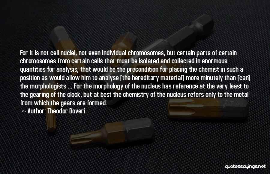 Theodor Boveri Quotes: For It Is Not Cell Nuclei, Not Even Individual Chromosomes, But Certain Parts Of Certain Chromosomes From Certain Cells That