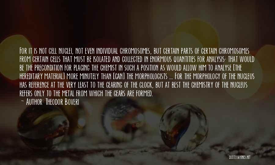 Theodor Boveri Quotes: For It Is Not Cell Nuclei, Not Even Individual Chromosomes, But Certain Parts Of Certain Chromosomes From Certain Cells That