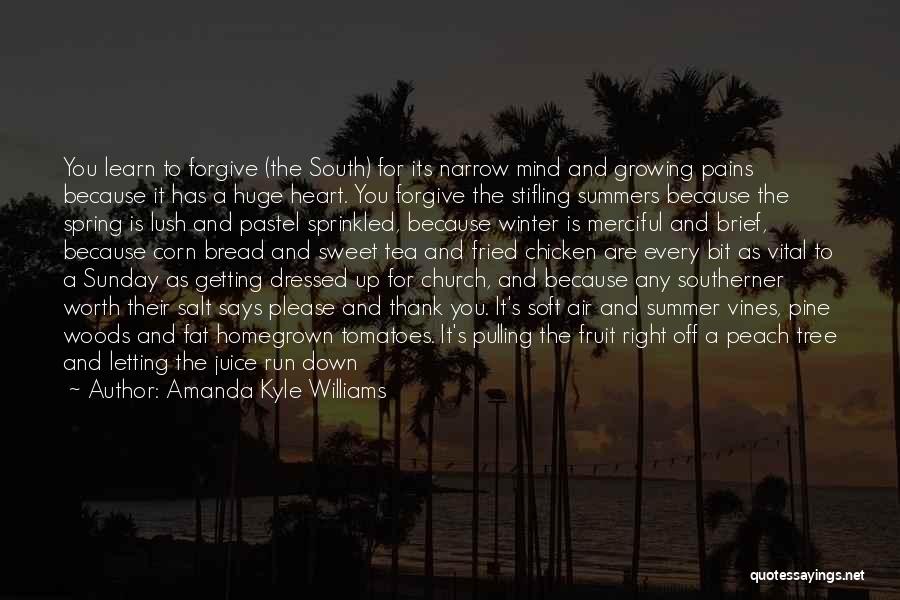 Amanda Kyle Williams Quotes: You Learn To Forgive (the South) For Its Narrow Mind And Growing Pains Because It Has A Huge Heart. You