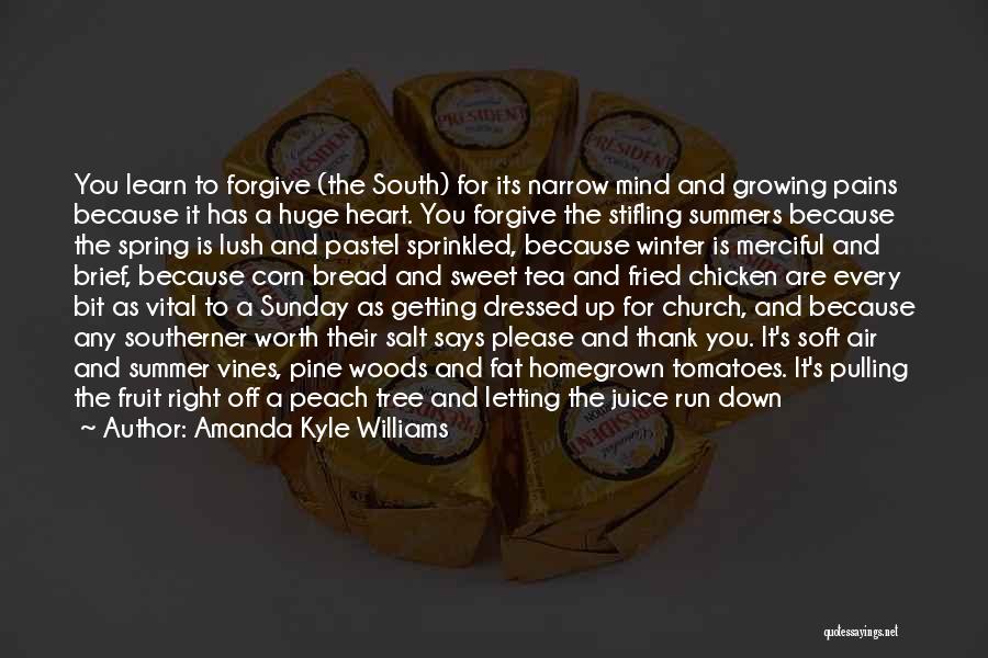 Amanda Kyle Williams Quotes: You Learn To Forgive (the South) For Its Narrow Mind And Growing Pains Because It Has A Huge Heart. You