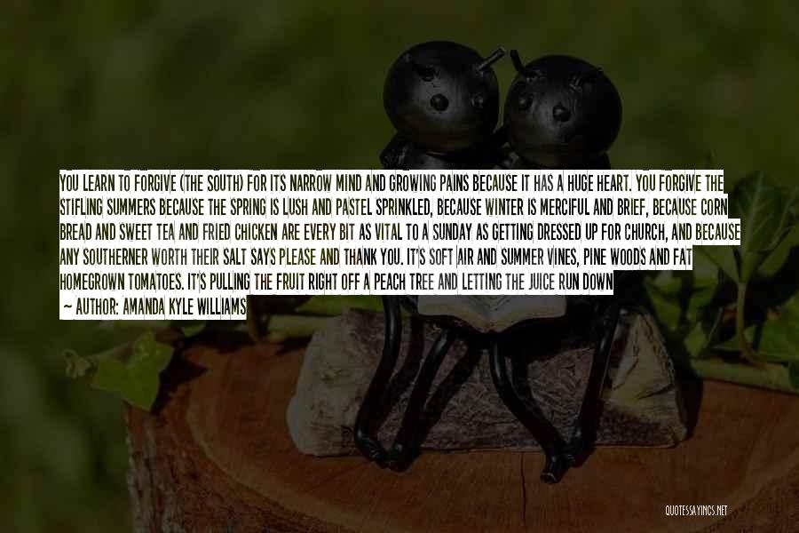 Amanda Kyle Williams Quotes: You Learn To Forgive (the South) For Its Narrow Mind And Growing Pains Because It Has A Huge Heart. You