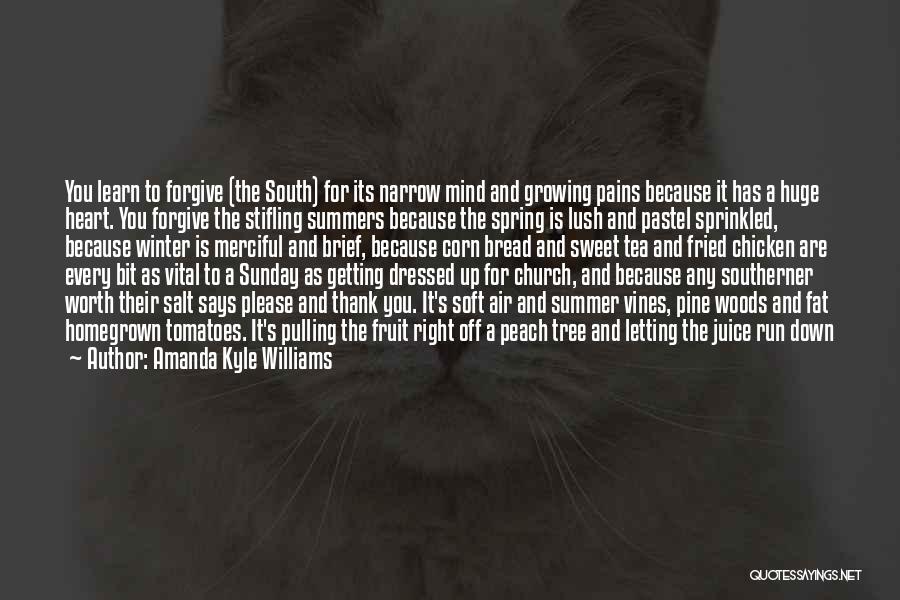 Amanda Kyle Williams Quotes: You Learn To Forgive (the South) For Its Narrow Mind And Growing Pains Because It Has A Huge Heart. You