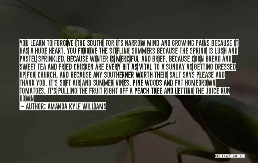 Amanda Kyle Williams Quotes: You Learn To Forgive (the South) For Its Narrow Mind And Growing Pains Because It Has A Huge Heart. You