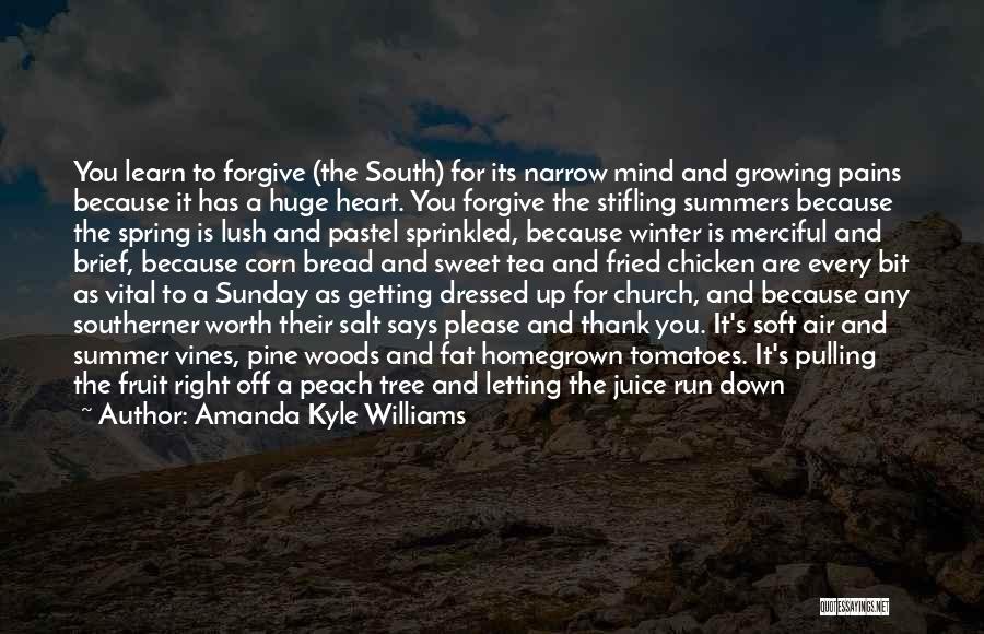 Amanda Kyle Williams Quotes: You Learn To Forgive (the South) For Its Narrow Mind And Growing Pains Because It Has A Huge Heart. You