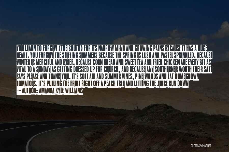 Amanda Kyle Williams Quotes: You Learn To Forgive (the South) For Its Narrow Mind And Growing Pains Because It Has A Huge Heart. You