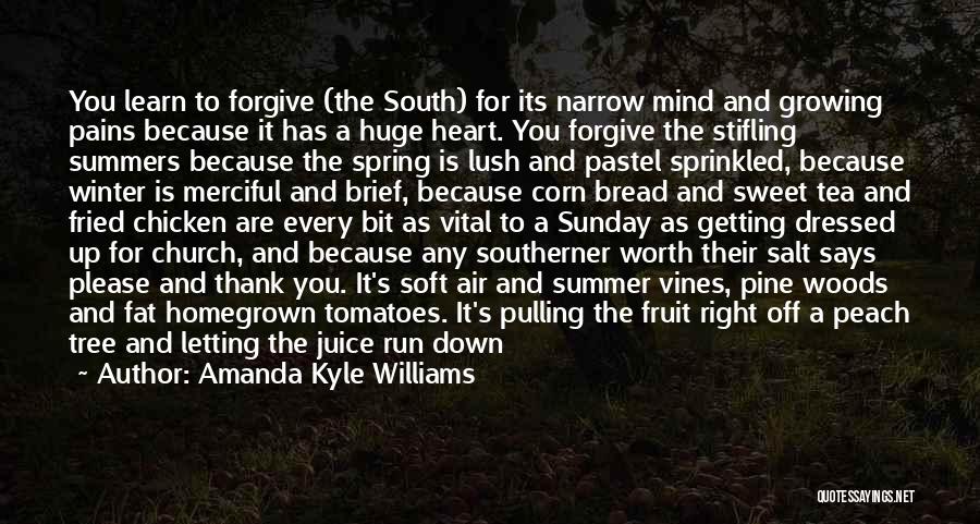 Amanda Kyle Williams Quotes: You Learn To Forgive (the South) For Its Narrow Mind And Growing Pains Because It Has A Huge Heart. You