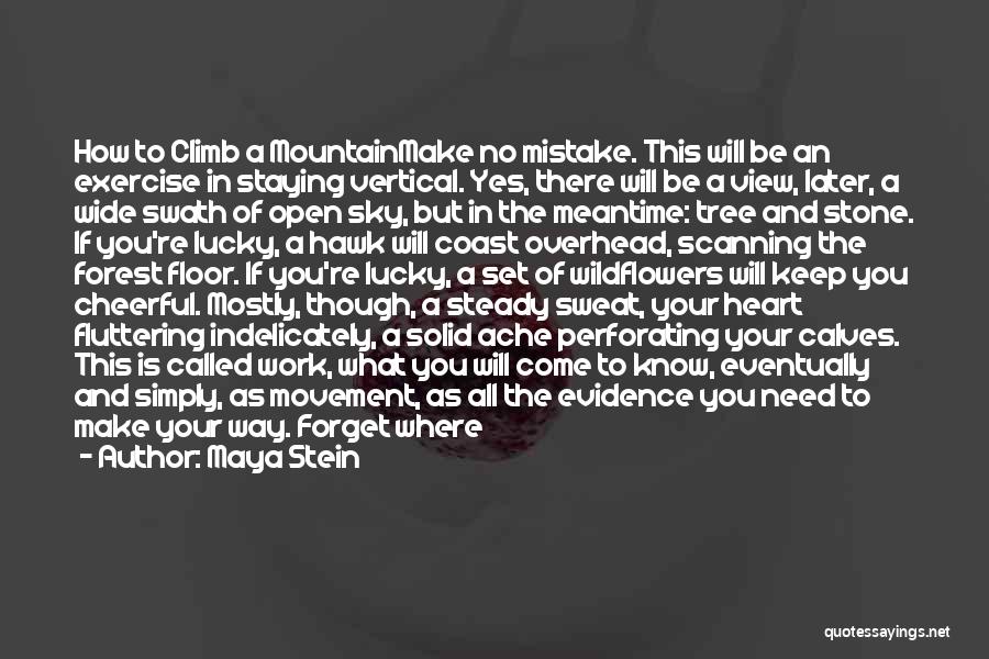 Maya Stein Quotes: How To Climb A Mountainmake No Mistake. This Will Be An Exercise In Staying Vertical. Yes, There Will Be A