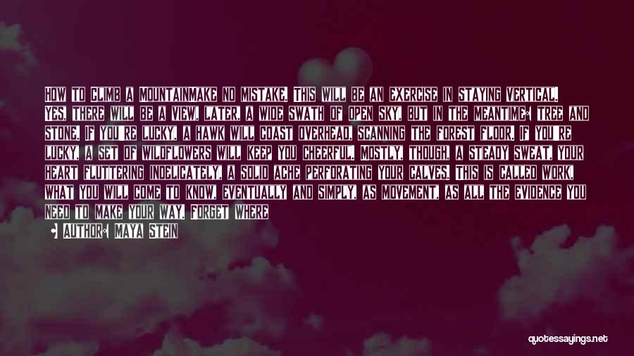 Maya Stein Quotes: How To Climb A Mountainmake No Mistake. This Will Be An Exercise In Staying Vertical. Yes, There Will Be A