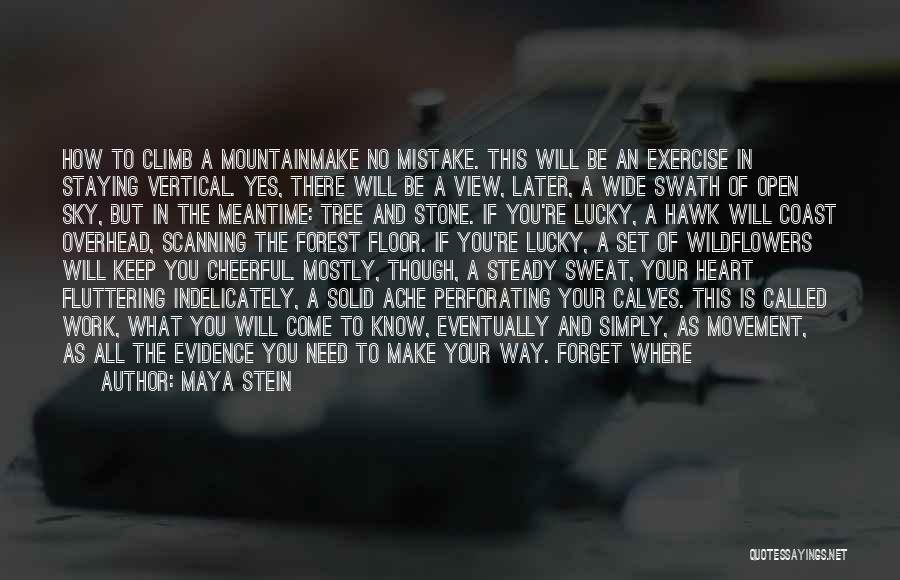 Maya Stein Quotes: How To Climb A Mountainmake No Mistake. This Will Be An Exercise In Staying Vertical. Yes, There Will Be A