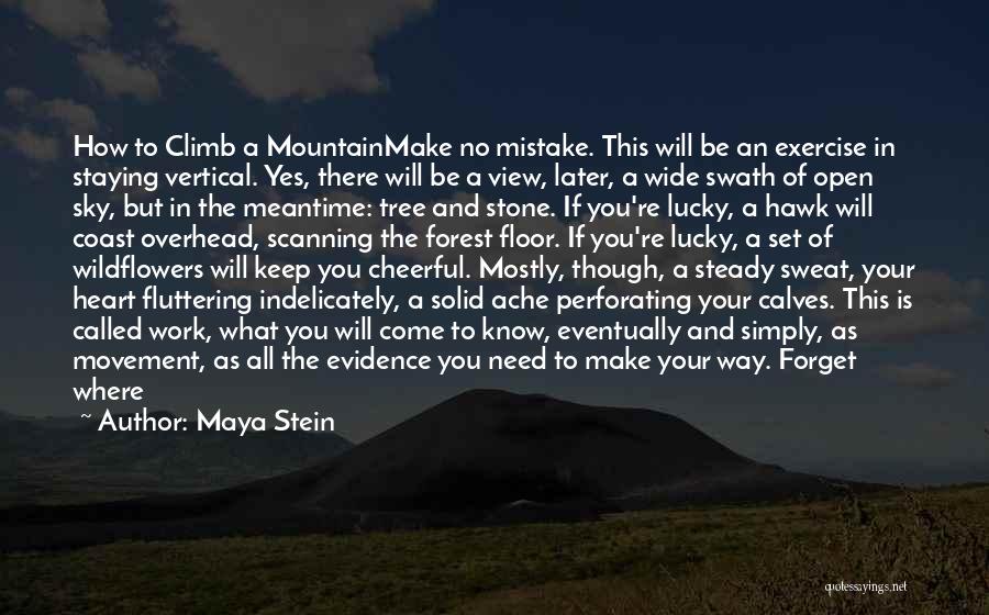 Maya Stein Quotes: How To Climb A Mountainmake No Mistake. This Will Be An Exercise In Staying Vertical. Yes, There Will Be A