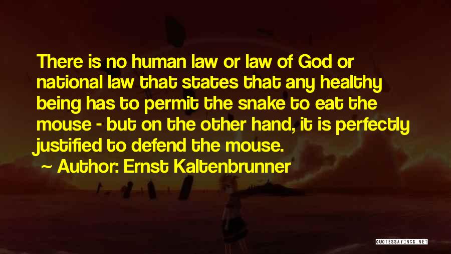 Ernst Kaltenbrunner Quotes: There Is No Human Law Or Law Of God Or National Law That States That Any Healthy Being Has To
