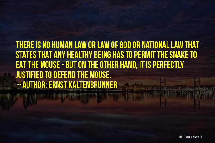 Ernst Kaltenbrunner Quotes: There Is No Human Law Or Law Of God Or National Law That States That Any Healthy Being Has To