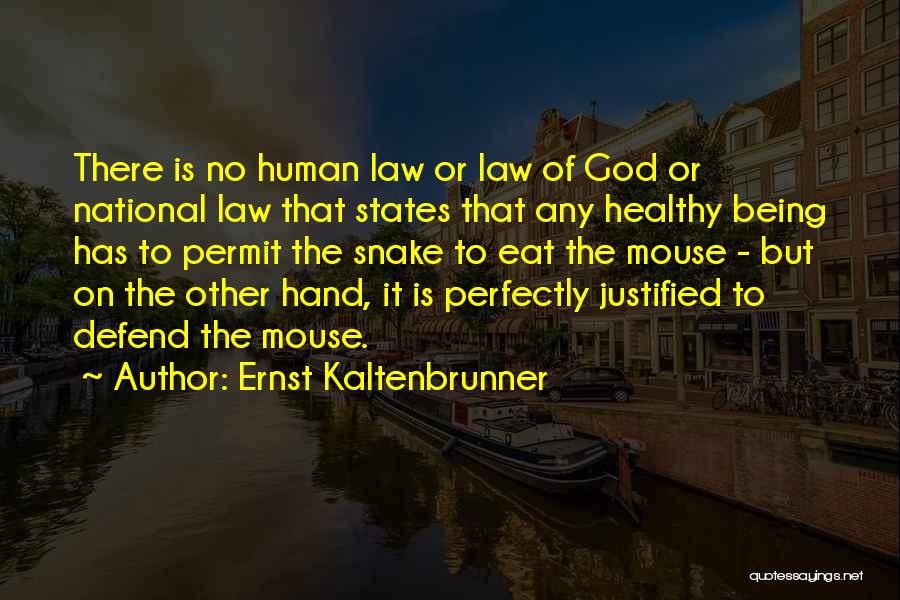 Ernst Kaltenbrunner Quotes: There Is No Human Law Or Law Of God Or National Law That States That Any Healthy Being Has To