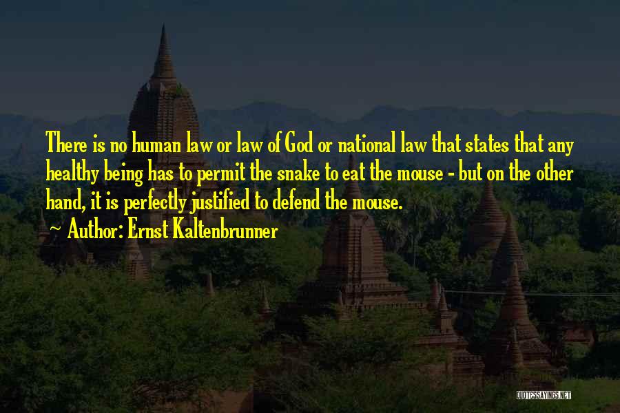 Ernst Kaltenbrunner Quotes: There Is No Human Law Or Law Of God Or National Law That States That Any Healthy Being Has To