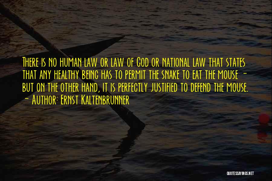 Ernst Kaltenbrunner Quotes: There Is No Human Law Or Law Of God Or National Law That States That Any Healthy Being Has To