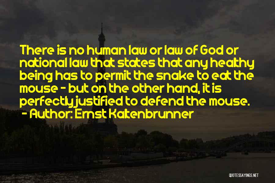Ernst Kaltenbrunner Quotes: There Is No Human Law Or Law Of God Or National Law That States That Any Healthy Being Has To