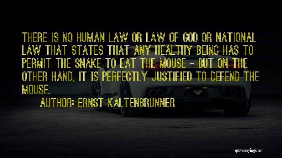 Ernst Kaltenbrunner Quotes: There Is No Human Law Or Law Of God Or National Law That States That Any Healthy Being Has To