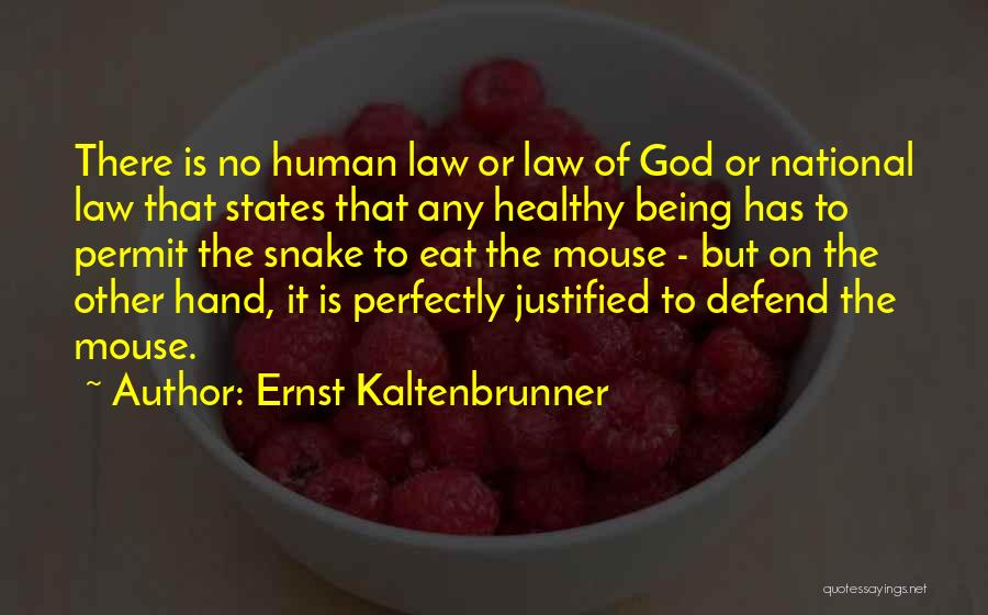 Ernst Kaltenbrunner Quotes: There Is No Human Law Or Law Of God Or National Law That States That Any Healthy Being Has To