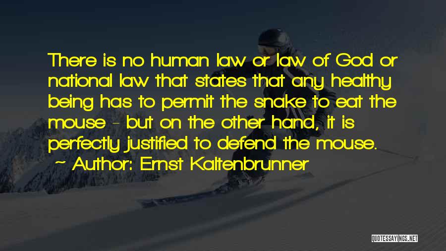 Ernst Kaltenbrunner Quotes: There Is No Human Law Or Law Of God Or National Law That States That Any Healthy Being Has To