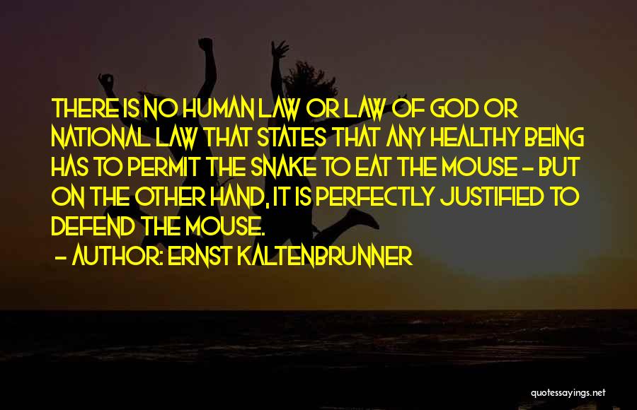 Ernst Kaltenbrunner Quotes: There Is No Human Law Or Law Of God Or National Law That States That Any Healthy Being Has To
