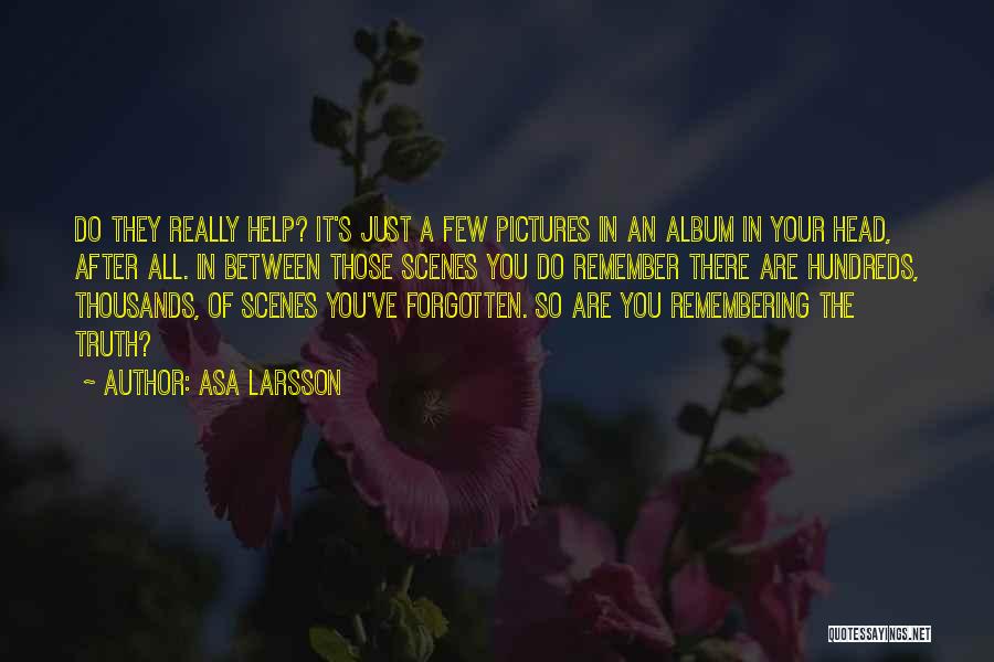 Asa Larsson Quotes: Do They Really Help? It's Just A Few Pictures In An Album In Your Head, After All. In Between Those