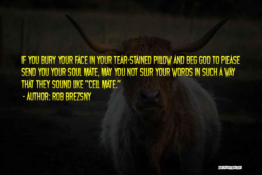 Rob Brezsny Quotes: If You Bury Your Face In Your Tear-stained Pillow And Beg God To Please Send You Your Soul Mate, May