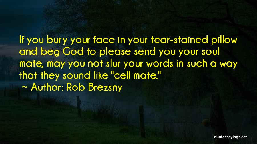 Rob Brezsny Quotes: If You Bury Your Face In Your Tear-stained Pillow And Beg God To Please Send You Your Soul Mate, May
