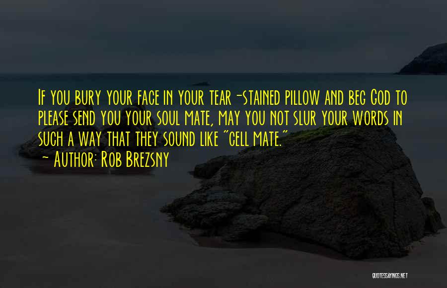 Rob Brezsny Quotes: If You Bury Your Face In Your Tear-stained Pillow And Beg God To Please Send You Your Soul Mate, May