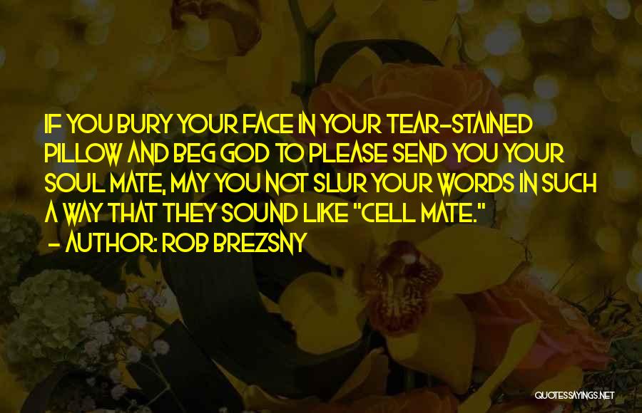 Rob Brezsny Quotes: If You Bury Your Face In Your Tear-stained Pillow And Beg God To Please Send You Your Soul Mate, May