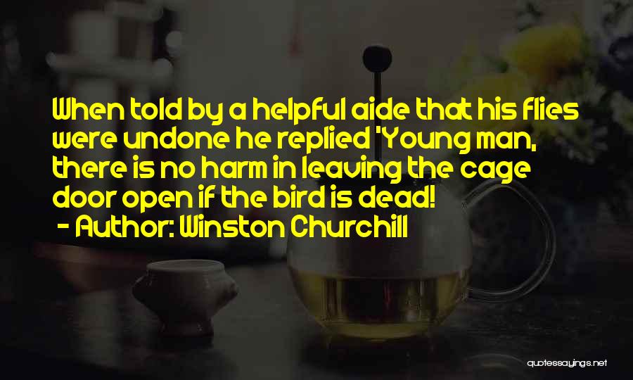 Winston Churchill Quotes: When Told By A Helpful Aide That His Flies Were Undone He Replied 'young Man, There Is No Harm In