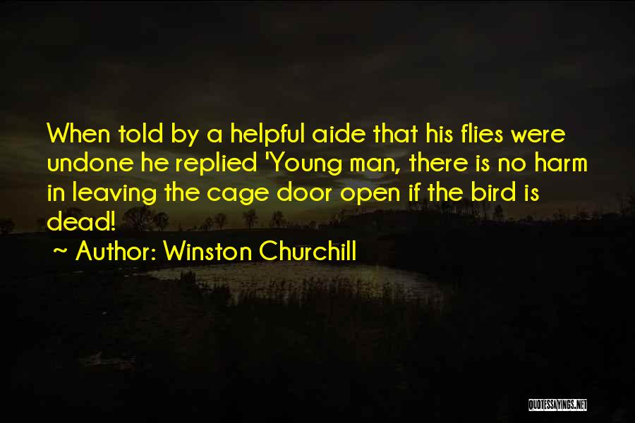 Winston Churchill Quotes: When Told By A Helpful Aide That His Flies Were Undone He Replied 'young Man, There Is No Harm In