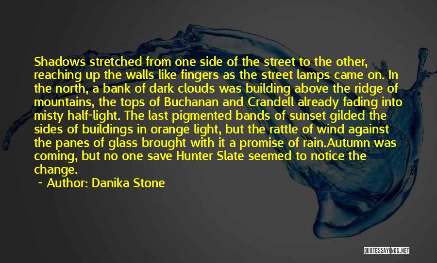 Danika Stone Quotes: Shadows Stretched From One Side Of The Street To The Other, Reaching Up The Walls Like Fingers As The Street